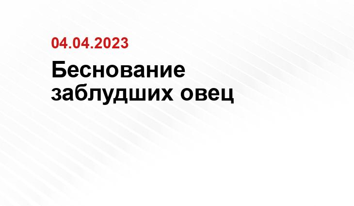 Молитва ко Пресвятой Богородице о заблудших и отступивших от Православной веры