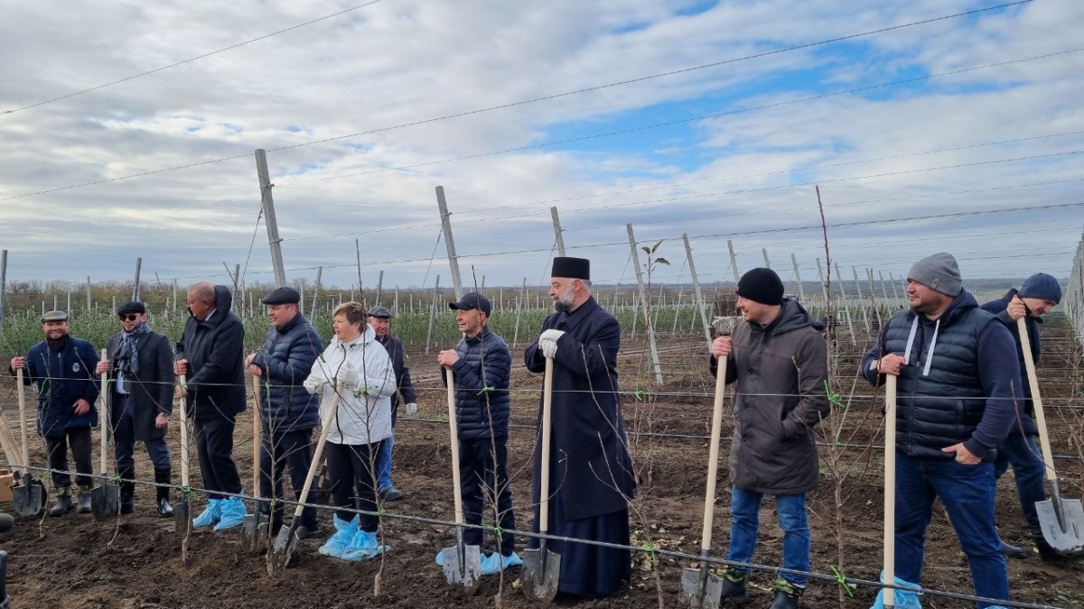 На Ставрополье развивают современные технологии возделывания садов администрация Новоалександровского округа