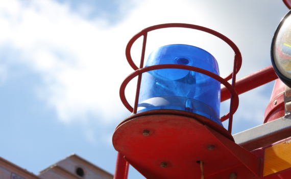 Смерть молодой румынки: двух мопсов отправили в приют после жуткого происшествия