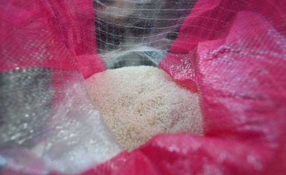 Аграрии Адыгеи фиксируют рост урожайности риса