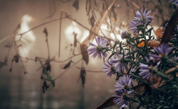 Таро-расклад на 28 ноября: о чем предупреждают карты в последнюю пятницу осени Таро-расклад на 28 ноября: о чем предупреждают карты в последнюю пятницу осени