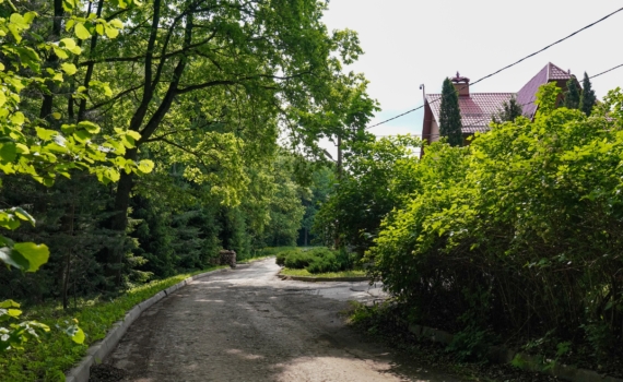 Мечтали о даче, а купили болото? Узнайте, как этого избежать: участок мечты — 5 критериев выбора Мечтали о даче, а купили болото? Узнайте, как этого избежать: участок мечты — 5 критериев выбора